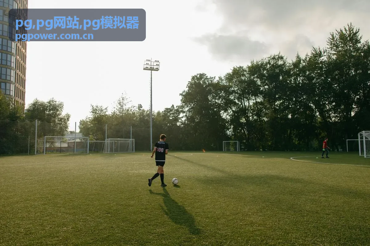 PG网站方案模块化展示封面